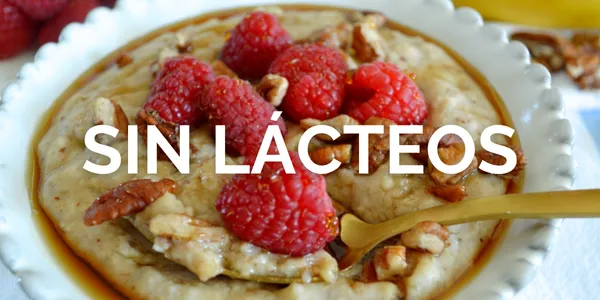 sin-lacteos